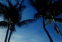 Storm-Ready: Daily Preparedness Challenge for Office and Home Office