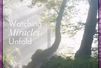 Witness Miracles: Real Stories That Inspire Change