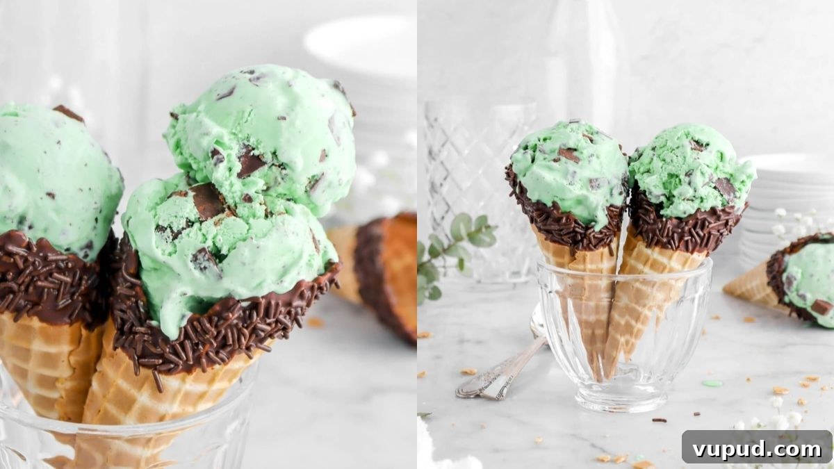 15 Favorite Frozen Treats for Summer: Cool Ideas to Beat the Heat 16 Mint chocolate ice cream in a waffle cone with chocolate sprinkles.