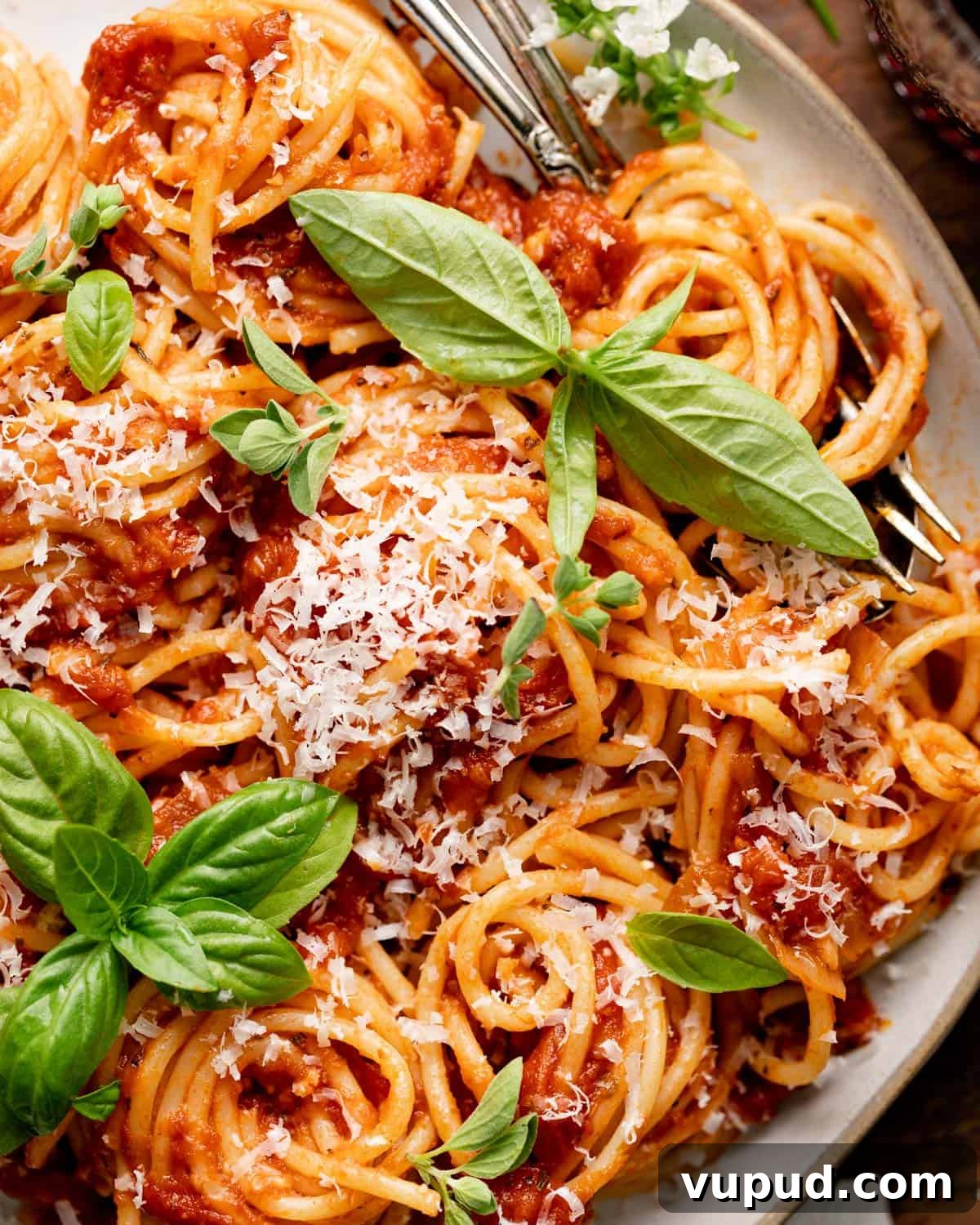Rich Homemade Marinara Sauce Recipe for Pasta & Pizza 6 closeup on spaghetti with sauce