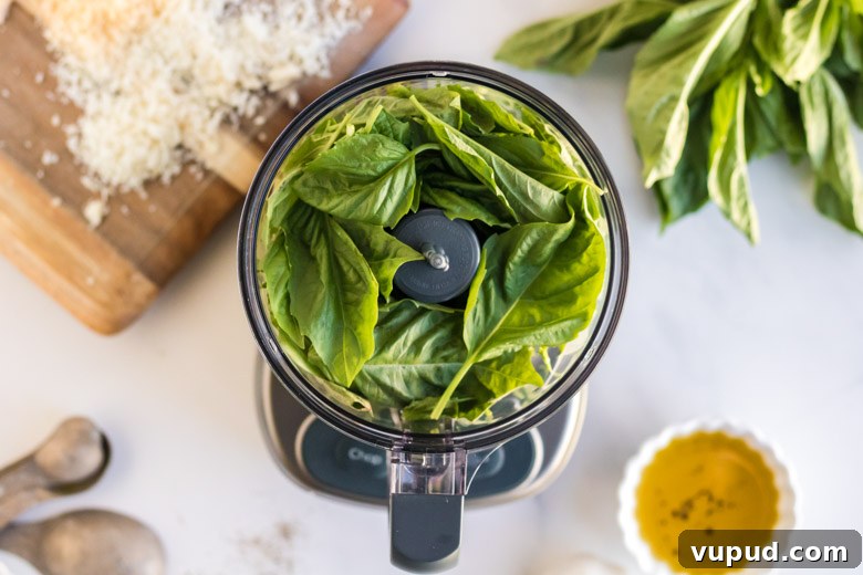 Homemade Nut-Free Pesto Recipe: Flavorful Dairy-Free Sauce 3 Nut free basil pesto- a photo of basil in a food processor with Parmesan cheese and olive oil around it.