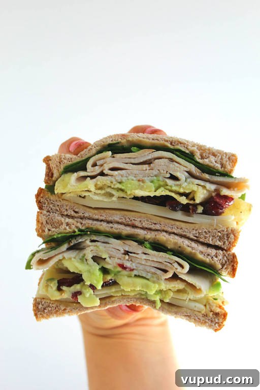 Black Pepper Cranberry Turkey Sandwich Recipe for Holiday Lunch 2 Black Pepper and Cranberry Turkey Sandwich Recipe -- Spicy black pepper turkey, dried cranberries, hummus, and chips