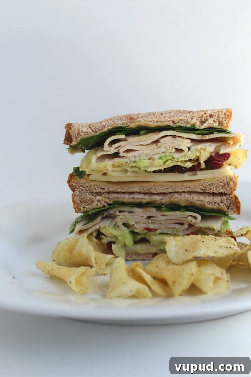 Black Pepper Cranberry Turkey Sandwich Recipe for Holiday Lunch 3 Black Pepper and Cranberry Turkey Sandwich Recipe -- Spicy black pepper turkey, dried cranberries, hummus, and chips