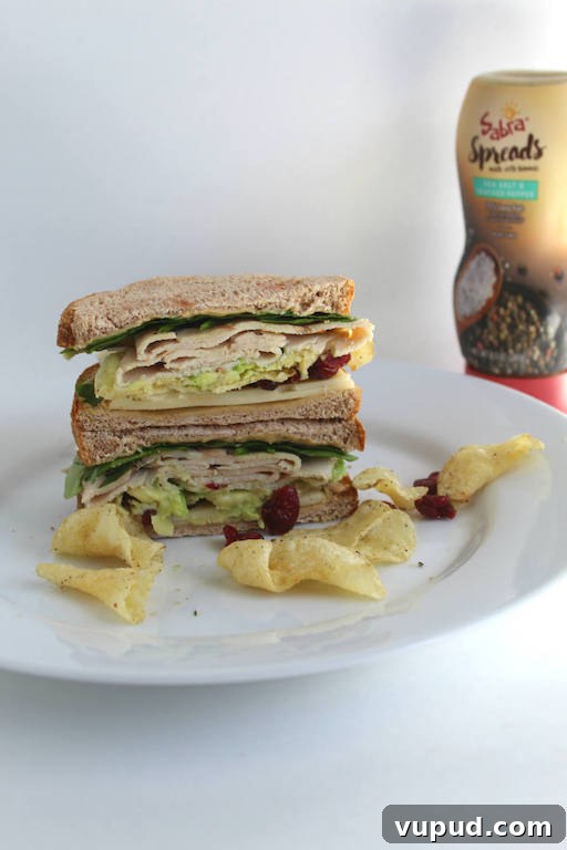 Black Pepper Cranberry Turkey Sandwich Recipe for Holiday Lunch 4 Black Pepper and Cranberry Turkey Sandwich Recipe -- Spicy black pepper turkey, dried cranberries, hummus, and chips