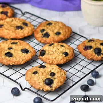 Buttermilk Bisquick Blueberry Biscuits Recipe for Flaky Results 5 img 11393 4