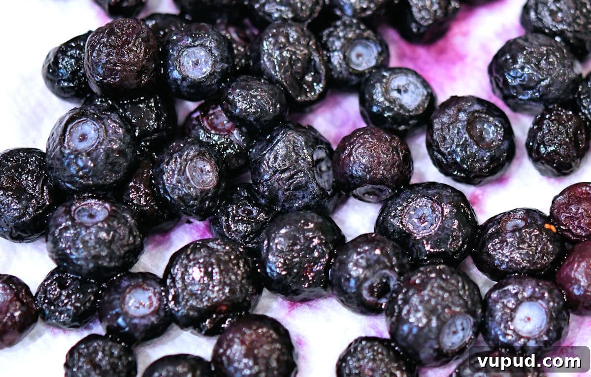 Buttermilk Bisquick Blueberry Biscuits Recipe for Flaky Results 9 frozen blueberries on a paper towel