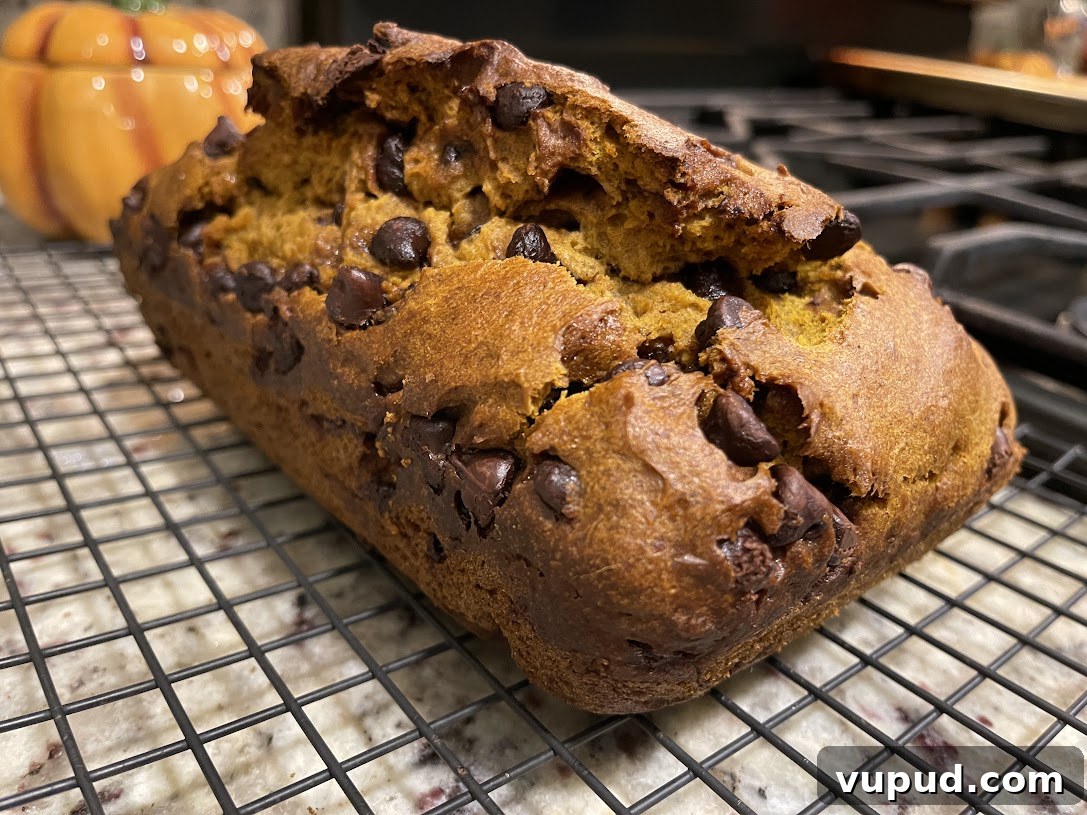 Gluten-Free Pumpkin Chocolate Chip Quick Bread Recipe 12 gluten-free pumpkin chocolate chip bread