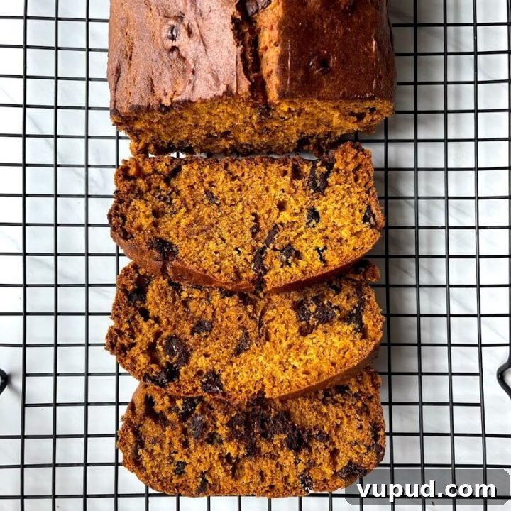 Gluten-Free Chocolate Chip Pumpkin Bread