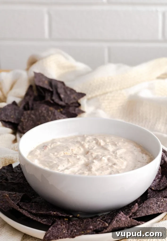 Creamy Mexican Sour Cream Dip Recipe for Parties 3 Mexican sour cream dip is made with simple ingredients and is big on flavor.