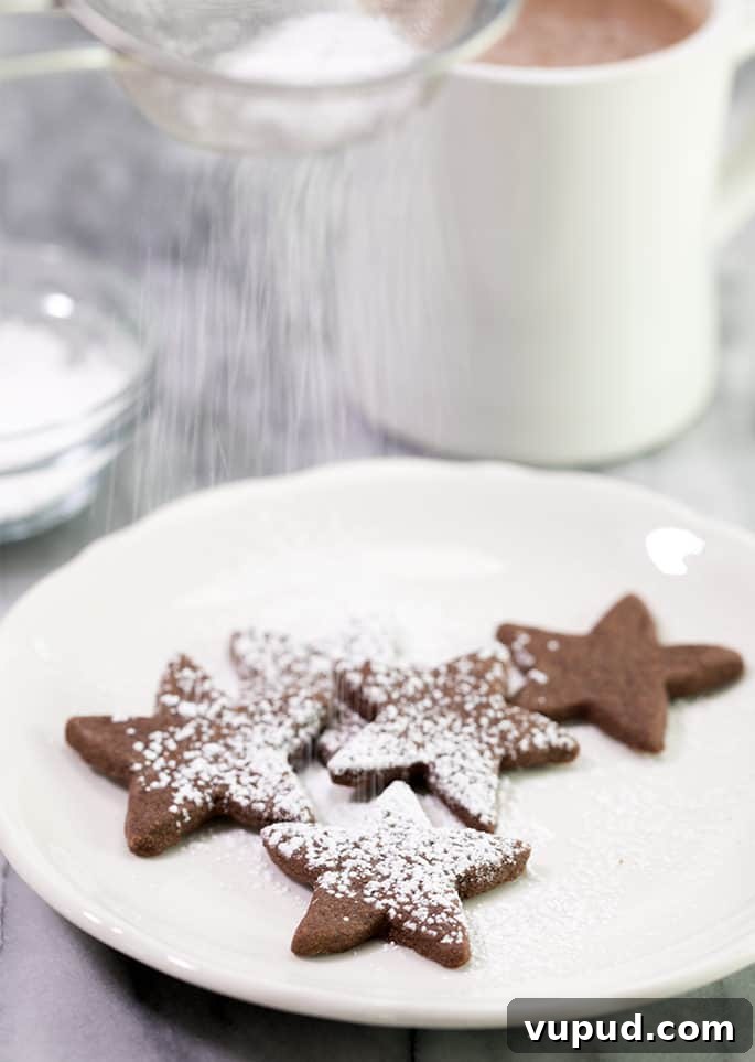 Gluten-Free Chocolate Shortbread Cookies Recipe for Crispy Melt-in-Your-Mouth Treats 2 Chocolate shortbread cookies with powdered sugar on white plate