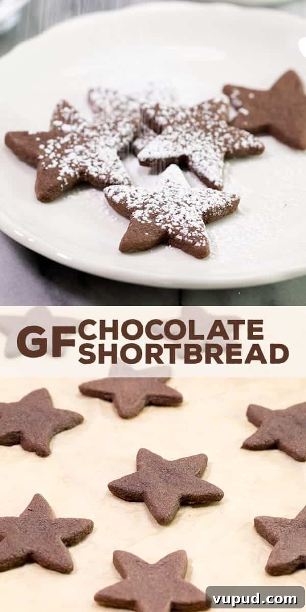 Gluten-Free Chocolate Shortbread Cookies Recipe for Crispy Melt-in-Your-Mouth Treats 5 Plate of star shaped chocolate shortbread cookies on plate with powdered sugar on top and tray of star shaped chocolate shortbread cookies