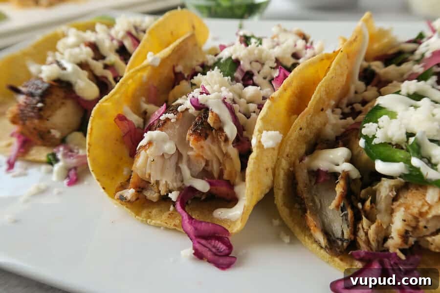 Blackened Mahi Mahi Fish Tacos — 30-Minute Dinner Recipe 2 close-up of blackened mahi-mahi fish tacos