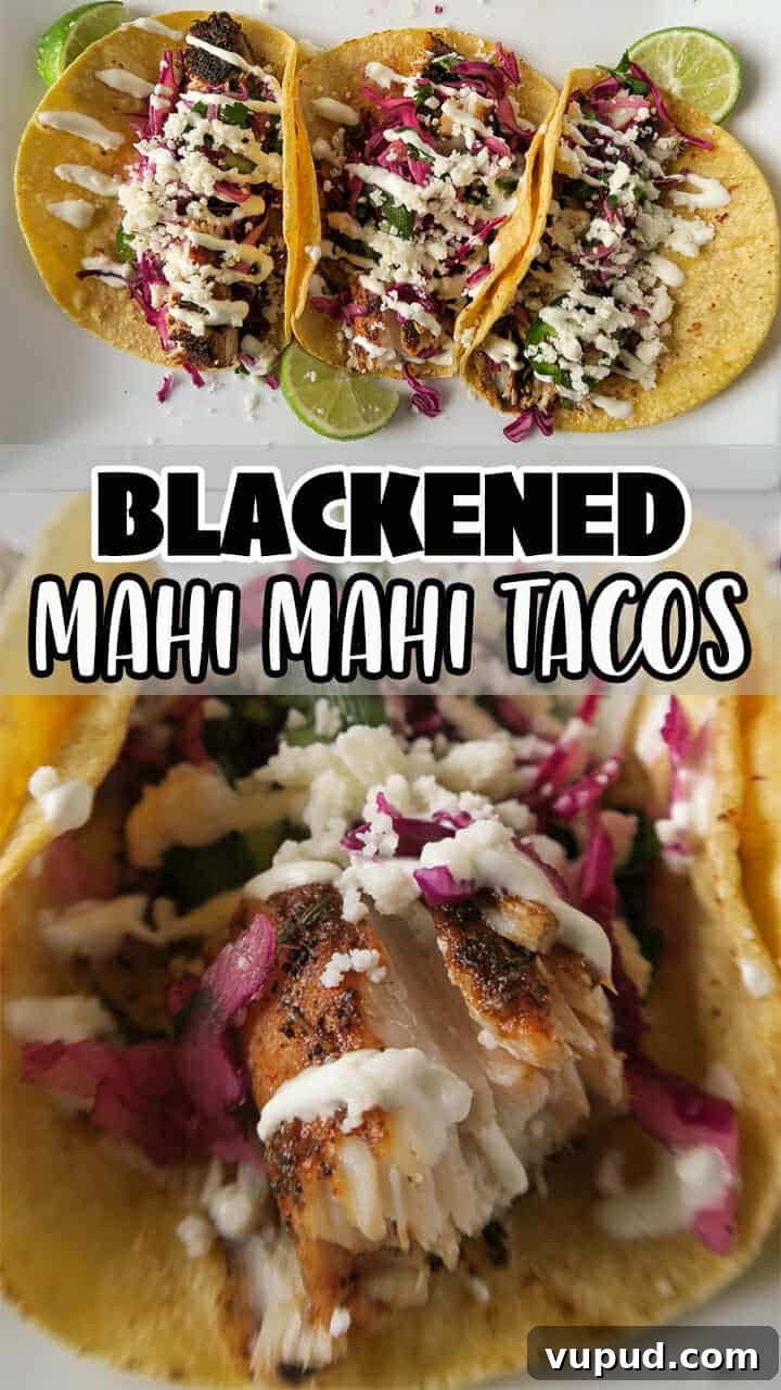 Blackened Mahi Mahi Fish Tacos — 30-Minute Dinner Recipe 16 img 1154 16
