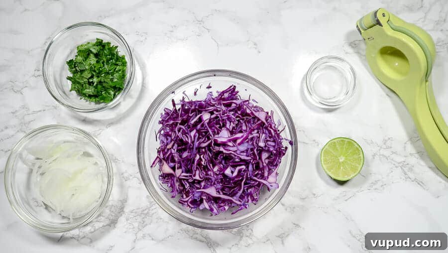 Blackened Mahi Mahi Fish Tacos — 30-Minute Dinner Recipe 10 red cabbage slaw