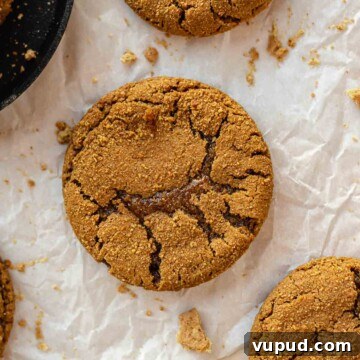 Single graham cracker cookie on parchment paper.
