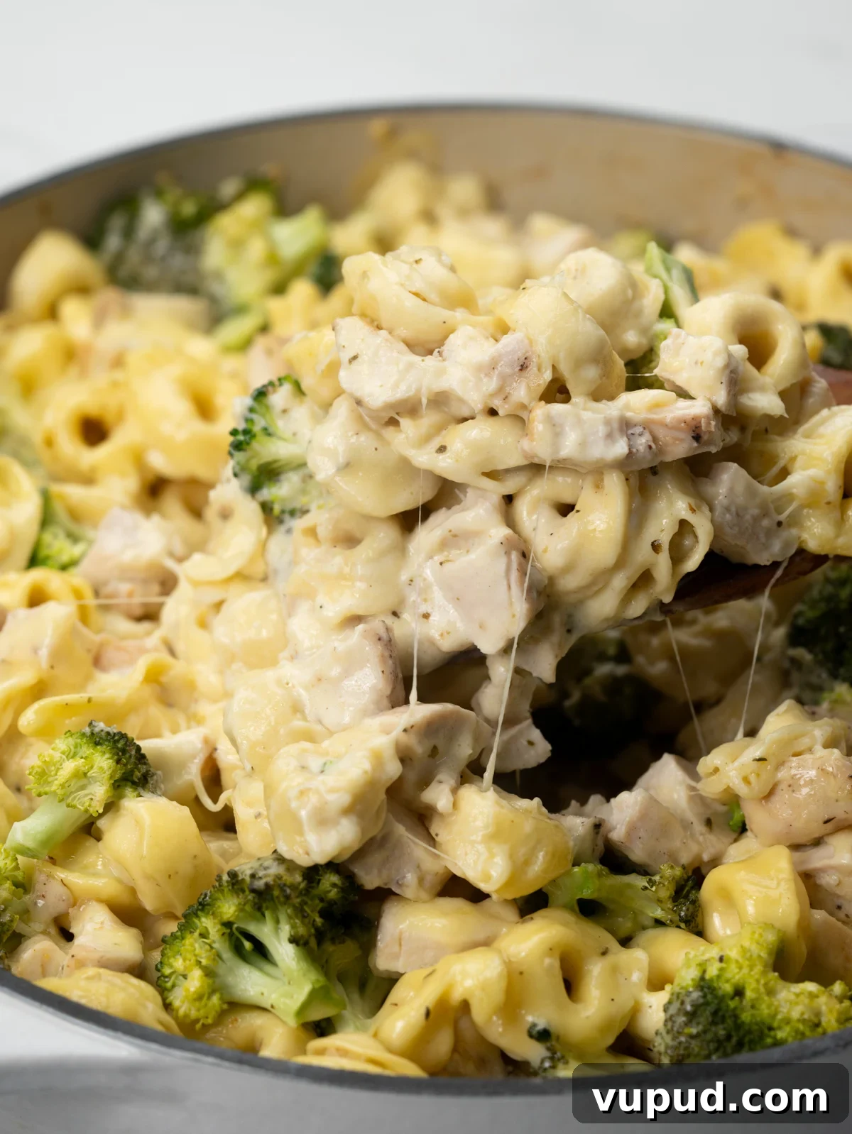 Cheesy Baked Chicken Tortellini Casserole Recipe 2 Baked Chicken Tortellini with cheese tortellini, rotisserie chicken, broccoli florets and cheese parmesan sauce.