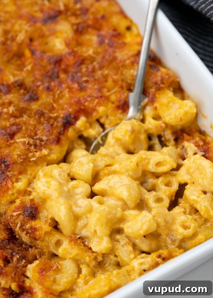 Cheesy Baked Chicken Tortellini Casserole Recipe 13 img 121724 12