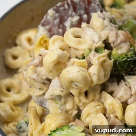 Cheesy Baked Chicken Tortellini Casserole Recipe 14 img 121724 13