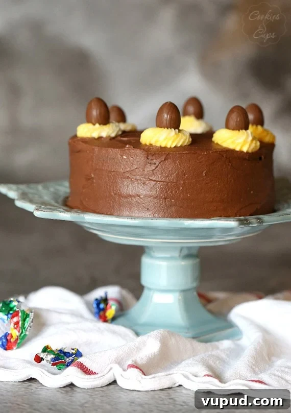 Cadbury Creme Egg Chocolate Layer Cake Recipe 3 Cadbury Egg Cake. A simple cake with a yellow and white filling to look like the favorite Easter Candy