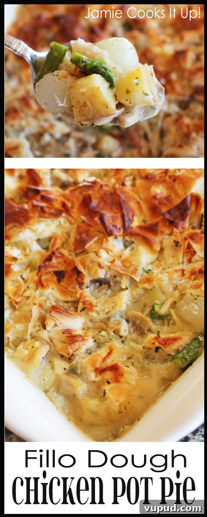 Crispy Filo Chicken Pot Pie Recipe with Flaky Phyllo Crust 2 Fillo Dough Chicken Pot Pie Collage with Border