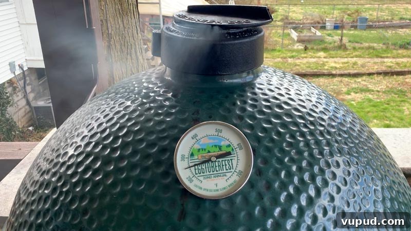 Cherry Coke-Glazed St. Louis Ribs on the Big Green Egg: Sweet BBQ Recipe 5 img 12395 4
