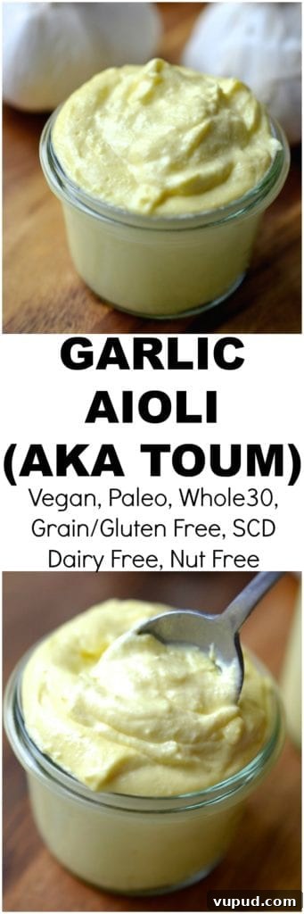 Egg-Free Toum Garlic Aioli Recipe: Creamy Vegan Lebanese Dip 3 img 12536 10