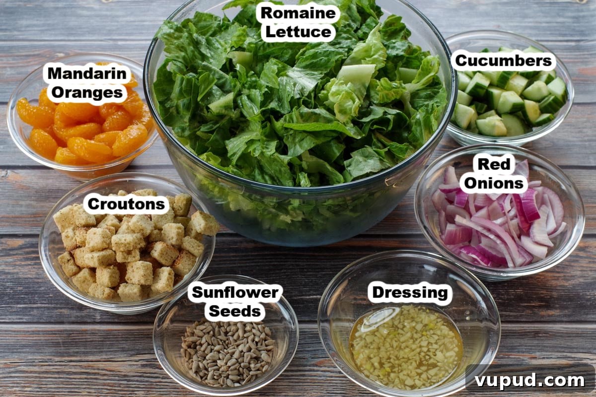 Zesty Mandarin Orange Salad Recipe with Citrus Vinaigrette 3 ingredients in mandarin orange salad in glass bowls, labelled