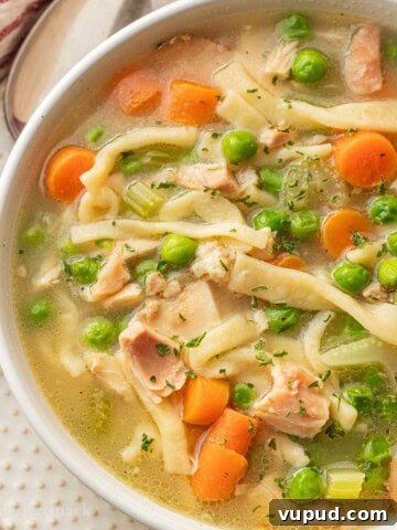 Cooked chicken noodle soup in white bowl on white plate.