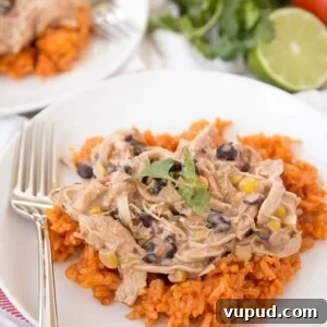 Slow cooker creamy fiesta chicken