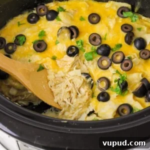 Crockpot chicken enchiladas