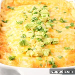 Casserole dish with creamy chicken enchiladas topped with diced avocado.
