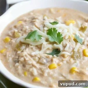 Chicken enchilada soup