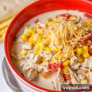 Mexican chicken and corn soup