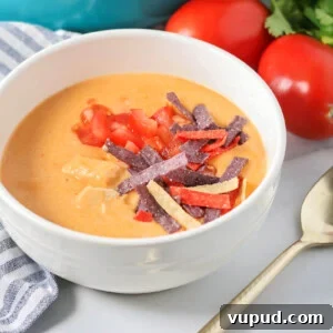 Chili's style chicken enchilada soup