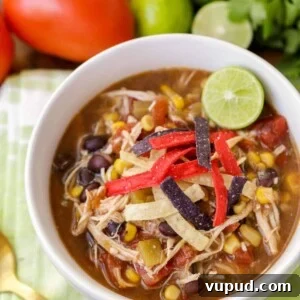 Healthy chicken tortilla soup