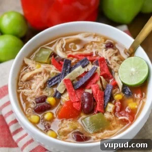 Mexican chicken soup