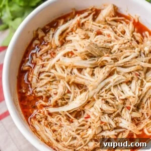 Shredded Cafe Rio style chicken