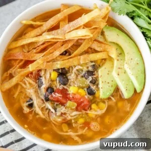 Chicken tortilla soup