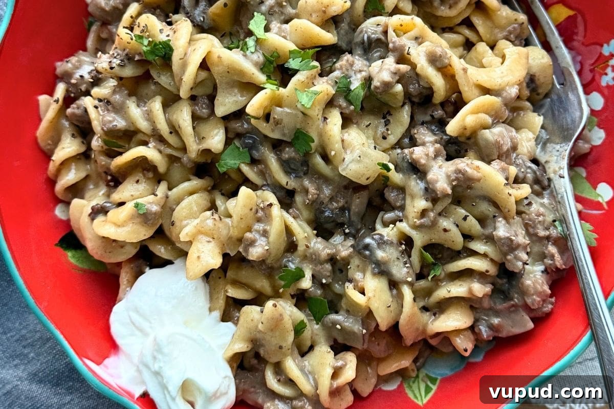 5 Delicious 30-Minute Meals You’ll Love 2 Instant Pot Ground Beef Stroganoff