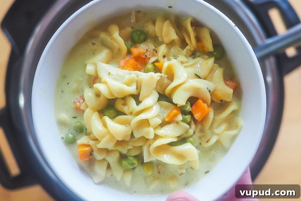 5 Delicious 30-Minute Meals You’ll Love 3 Instant Pot Creamy Chicken and Noodles