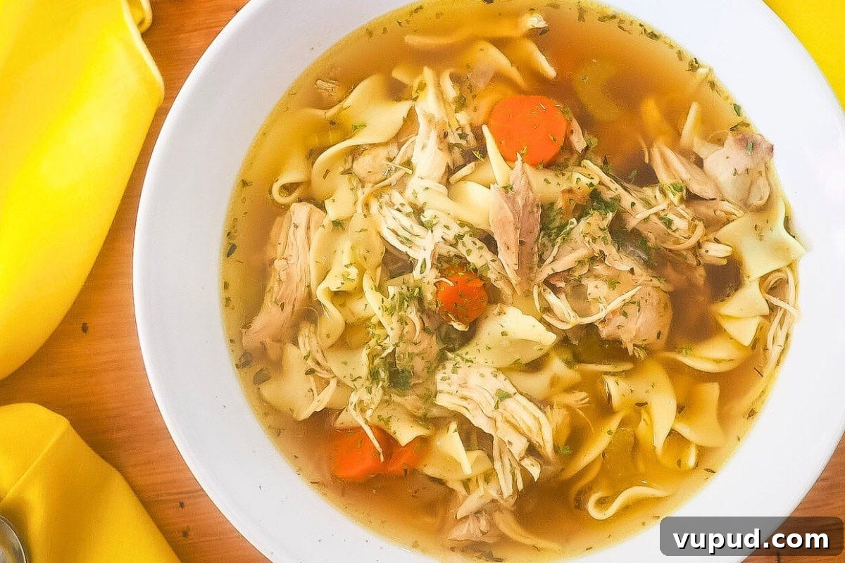5 Delicious 30-Minute Meals You’ll Love 4 Easy Instant Pot Chicken Noodle Soup