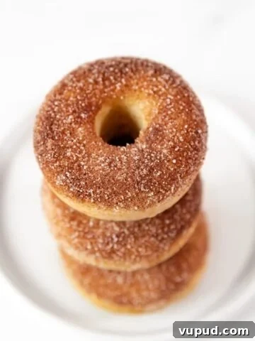 Photo of a pile of vegan donuts