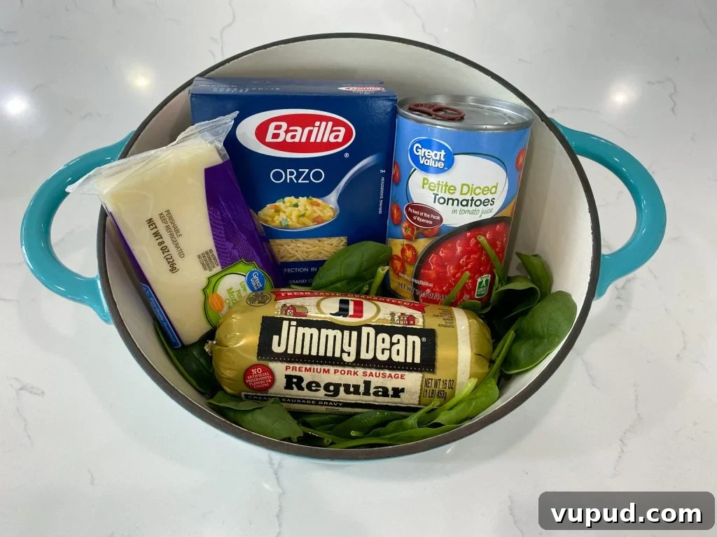 Hearty Sausage and Orzo Soup Recipe for Cozy Weeknight Meals 2 sausage orzo soup