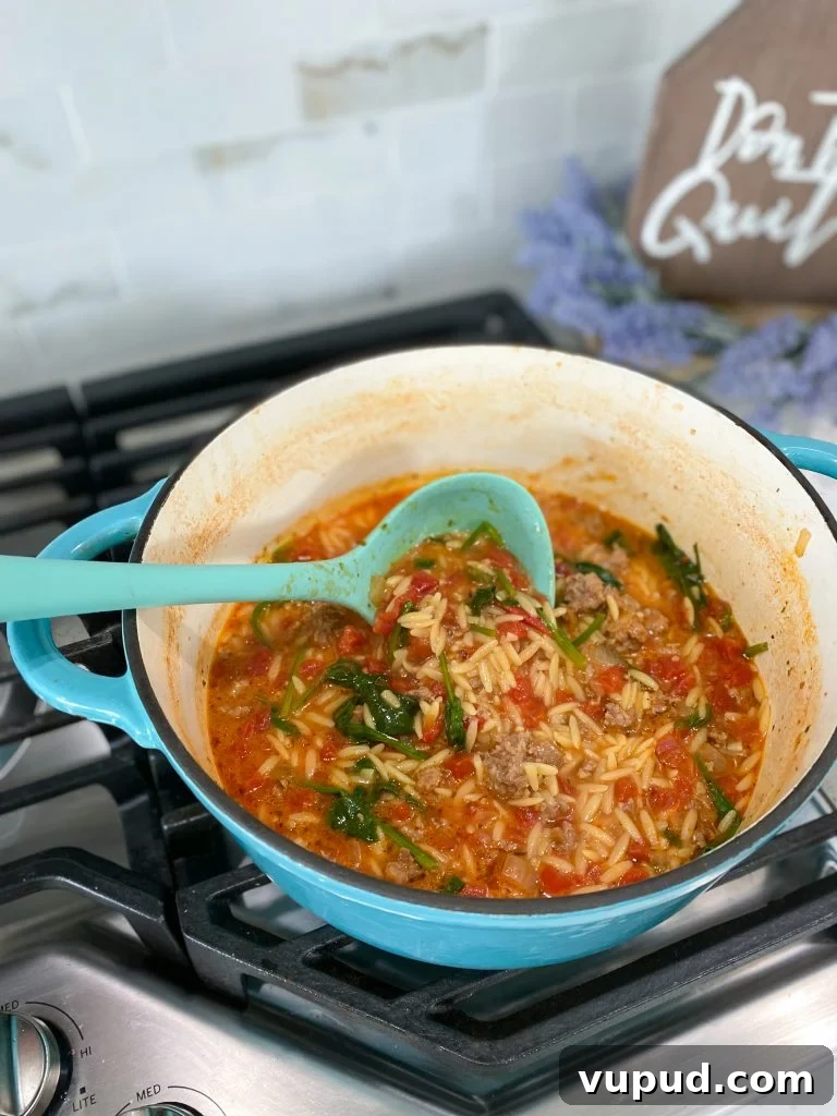 Hearty Sausage and Orzo Soup Recipe for Cozy Weeknight Meals 3 sausage orzo soup