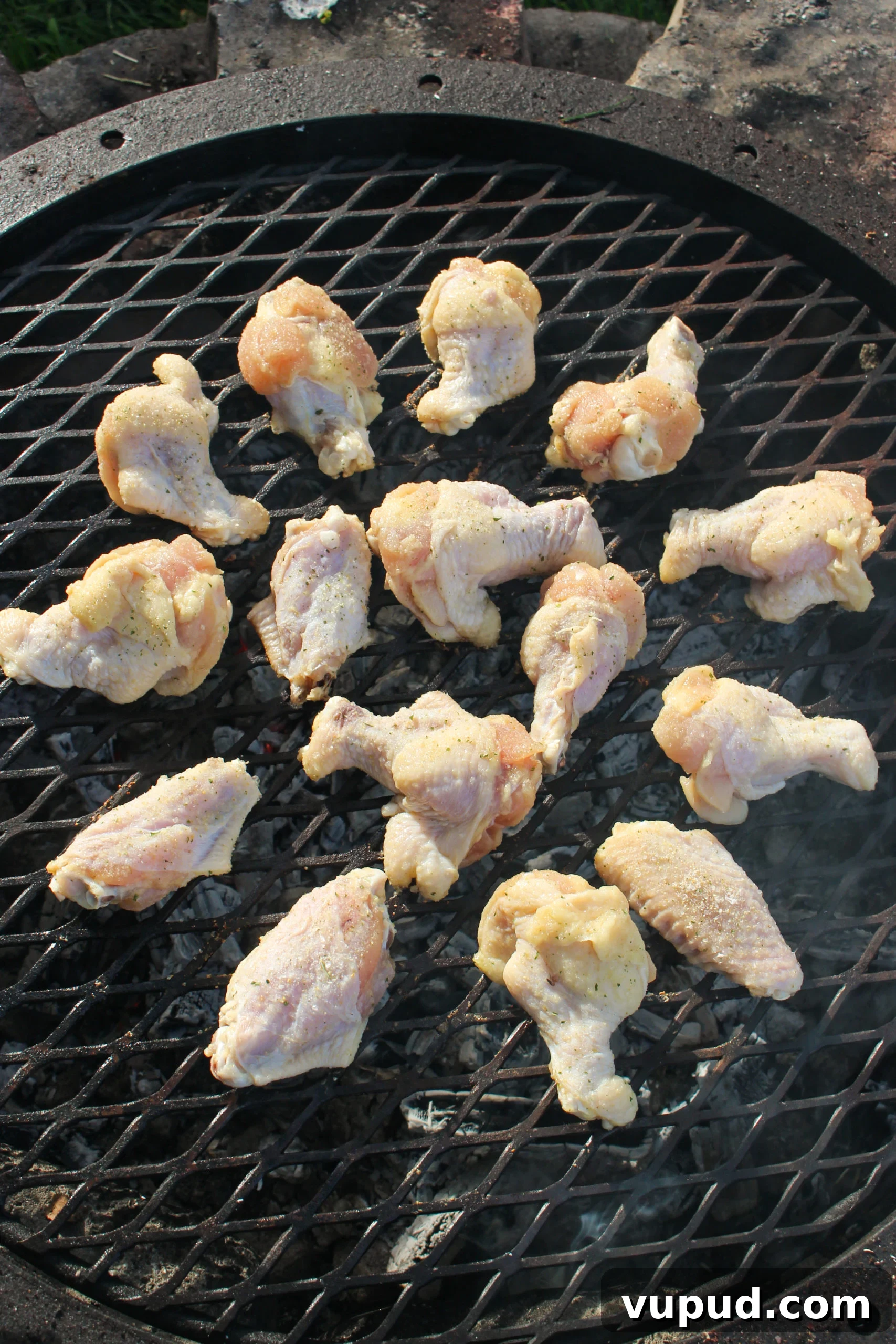 Garlic Parmesan Beer Wings Recipe: Crispy Savory Party Wings 2 Garlic Parmesan and Beer Wings