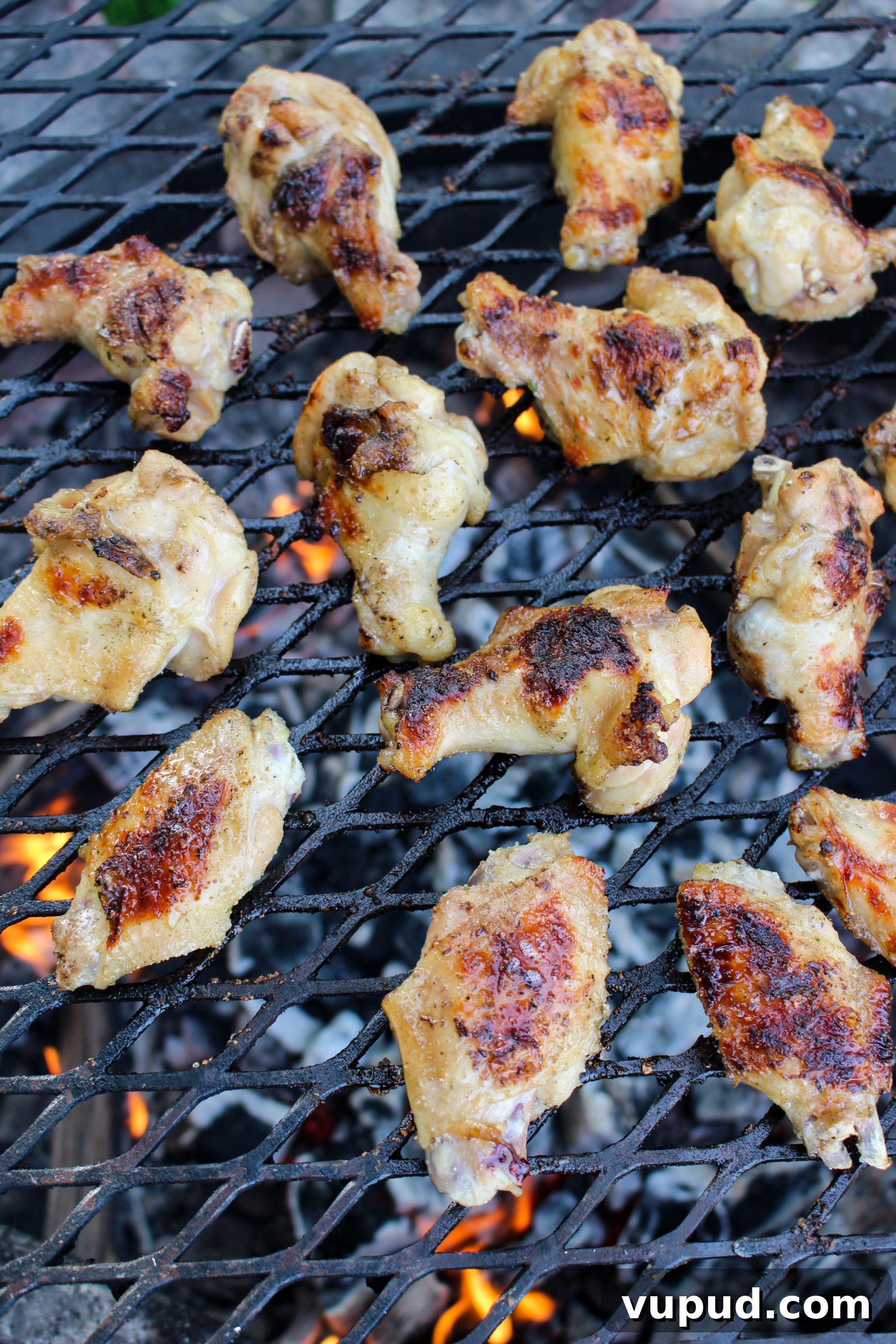 Garlic Parmesan Beer Wings Recipe: Crispy Savory Party Wings 3 Garlic Parmesan and Beer Wings