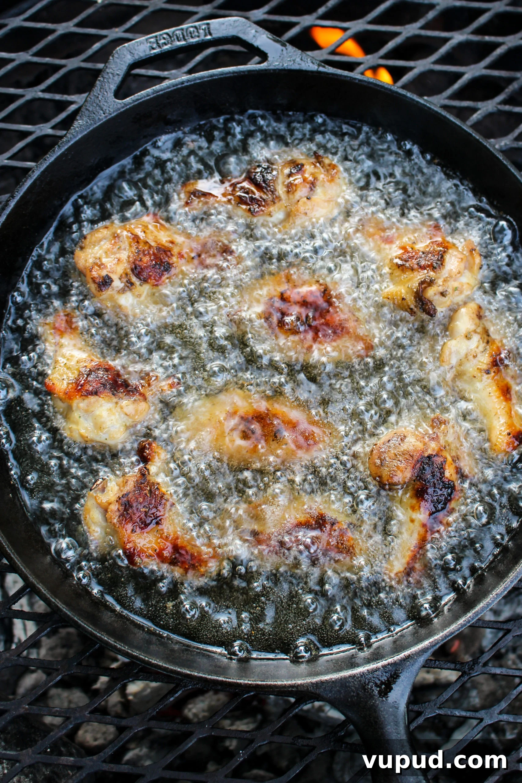 Garlic Parmesan Beer Wings Recipe: Crispy Savory Party Wings 4 Fried Garlic Parmesan