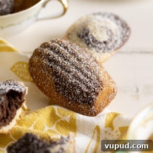 Chocolate Vanilla Marble Madeleines: Swirled French Tea Cakes 10 A couple chocolate and vanilla marble madeleines lying on a white table top.