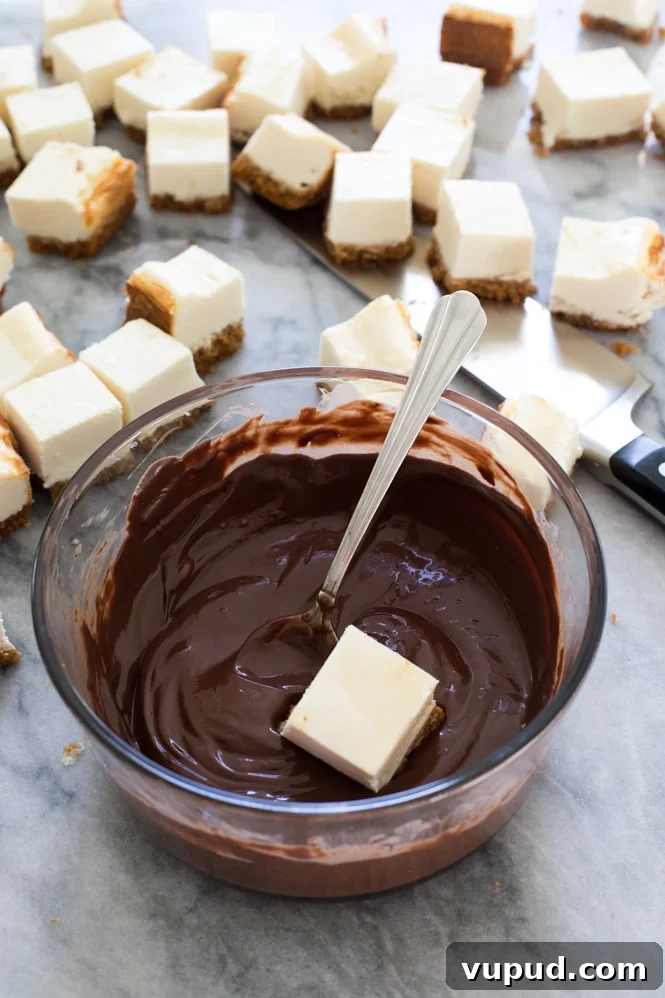 Chocolate-Covered Mini Cheesecake Bites: Bite-Sized Dessert Recipe 4 Chocolate Dipped Cheesecake Bites