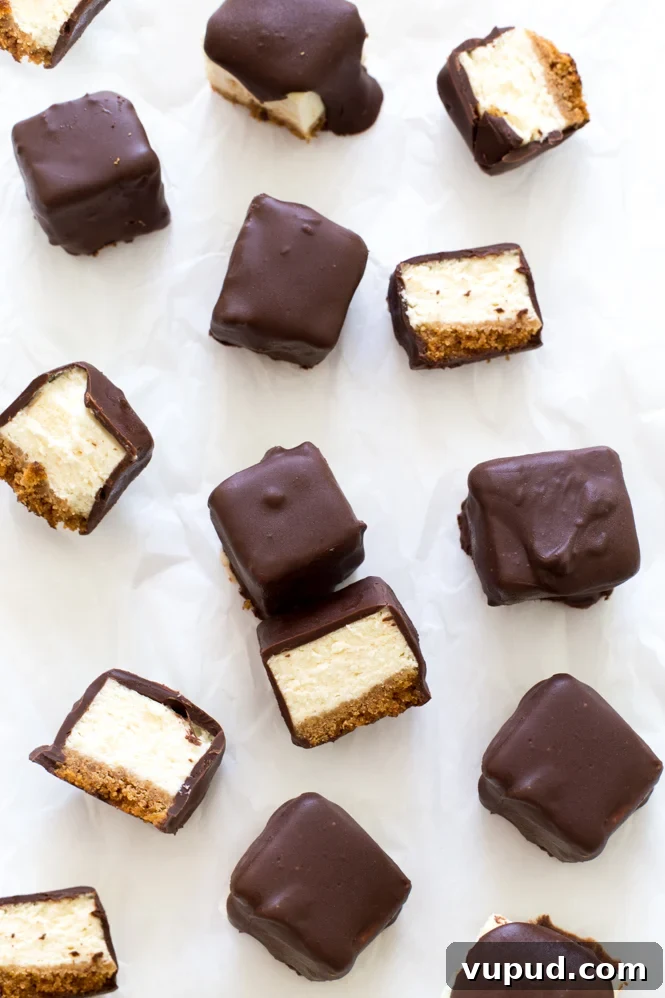 Chocolate-Covered Mini Cheesecake Bites: Bite-Sized Dessert Recipe 3 Chocolate Covered Cheesecake Bites